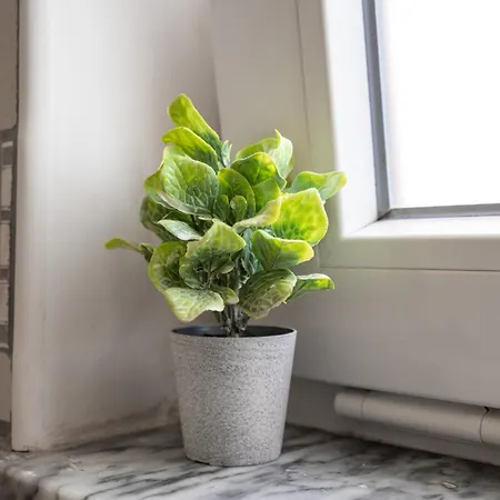 Villa Paradis - Quartos *