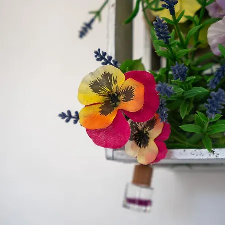 Paradis - Quartos פרה