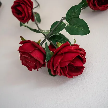 Villa Paradis - Quartos